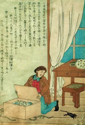 JJ Audubon on a trip to Japan discovers a rat